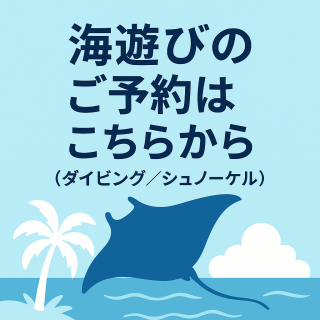 ダイビングのご予約はこちらから 