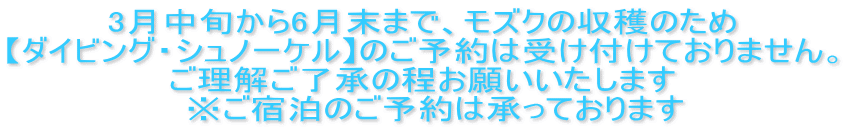 3月中旬から6月末まで、モズクの収穫のため 【ダイビング・シュノーケル】のご予約は受け付けておりません。 ご理解ご了承の程お願いいたします 　※ご宿泊のご予約は承っております